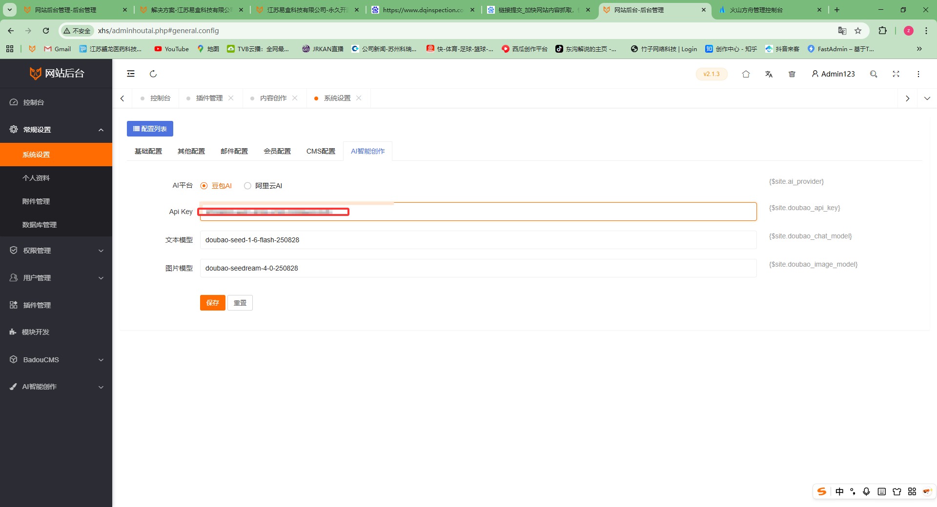 粘贴api key 到后台 粘贴api key 到后台